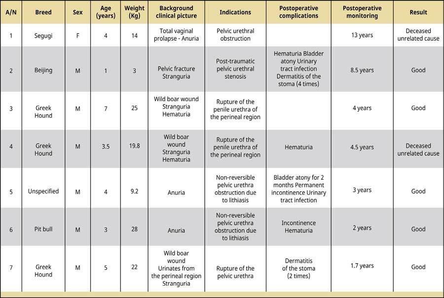 Prepubic urethrostomy in dogs