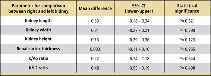 Dimensions of normal feline kidneys