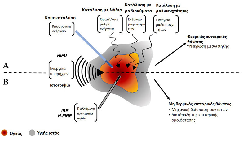 Tumor ablation in veterinary oncology