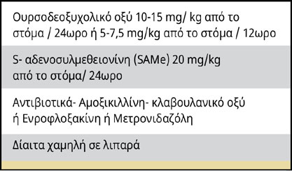 Η βλεννοκήλη της χοληδόχου κύστης στο σκύλο