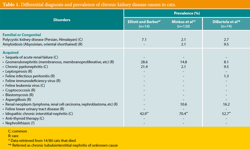 Aetiopathogenesis and consequences of chronic feline kidney disease