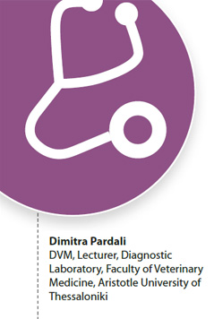 Time for diagnostics - Jugular vein catheter placement Indications & technique