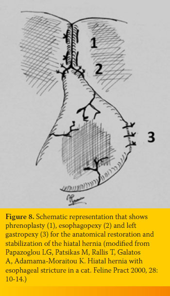 figure 8