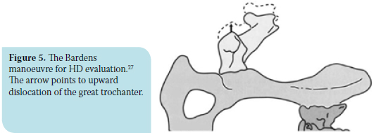 Canine hip dysplasia