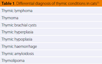 Diagnosis and surgical treatment of thymoma in the cat