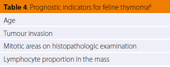 Diagnosis and surgical treatment of thymoma in the cat