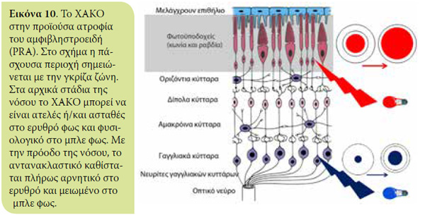 v5i1 xromatiko eik10