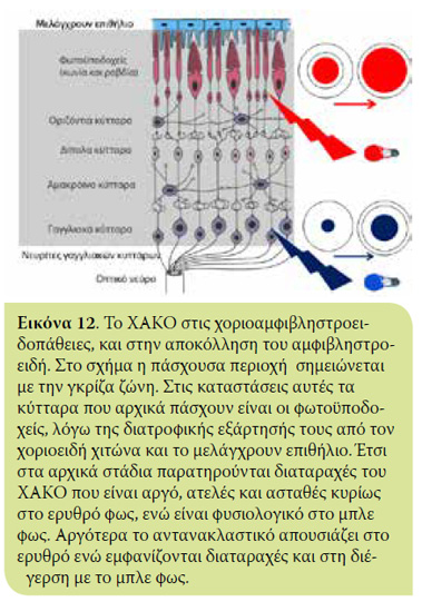 v5i1 xromatiko eik12