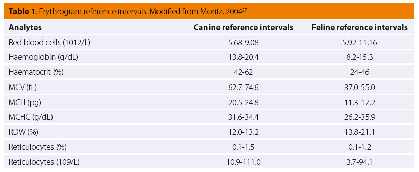 The interpretation of erythrogram in dog and cat 