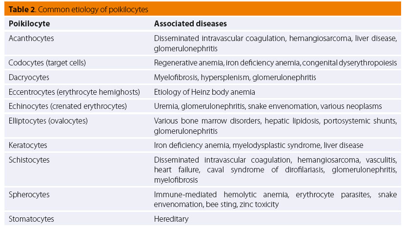 The interpretation of erythrogram in dog and cat 