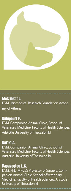 Full-thickness mesh skin grafts in dogs and cats. Indications, pathophysiology of graft taking, surgical techniques and complications 