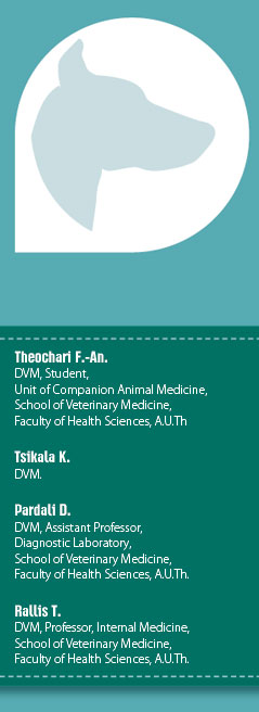 Congenital esophageal diverticulum in a dog. A case report 