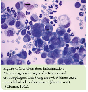 Pleural effusion in the cat: a focus on laboratory diagnosis 