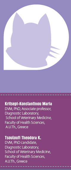 Pleural effusion in the cat: a focus on laboratory diagnosis