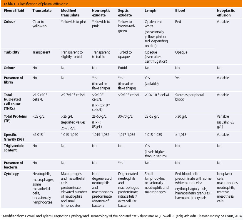 Pleural effusion in the cat: a focus on laboratory diagnosis 