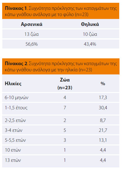 Κατάγματα της κάτω γνάθου στη γάτα