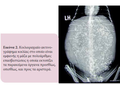 Τόμος 6 Τεύχος 2 - 2017