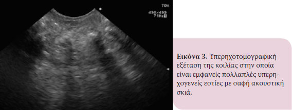 Ιατρική ζώων Συντροφιάς - Τόμος 6 - Τεύχος 2 - 2017