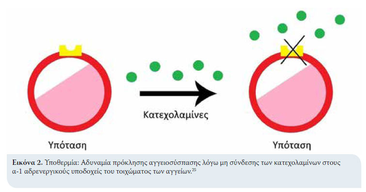  Ιατρική ζώων Συντροφιάς - Τόμος 6 - Τεύχος 2 - 2017 -  Υποθερμία στα ζώα συντροφιάς 