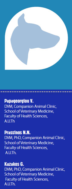 Diagnostic dilemma: neurological or orthopaedic case?