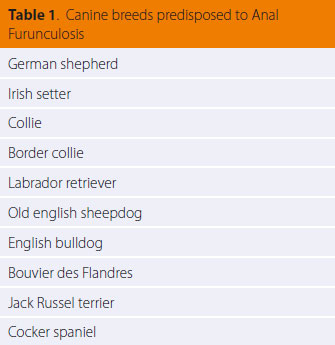 Canine anal furunculosis