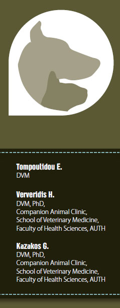 Anaesthesia in pregnant dogs and cats