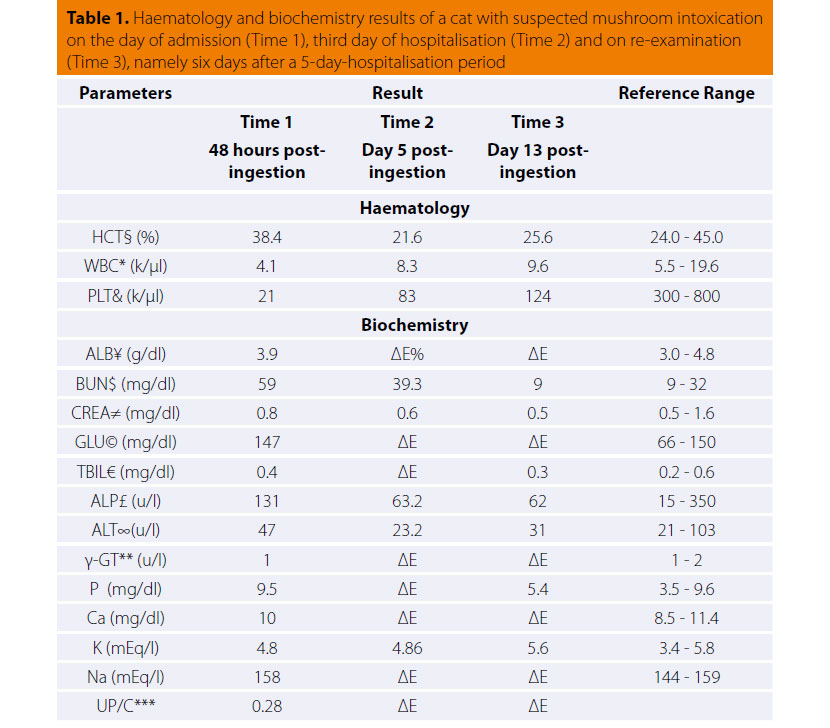 Exposure of a cat to human-edible mushrooms: were they toxic?