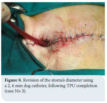 Transpelvic urethrostomy in three cats