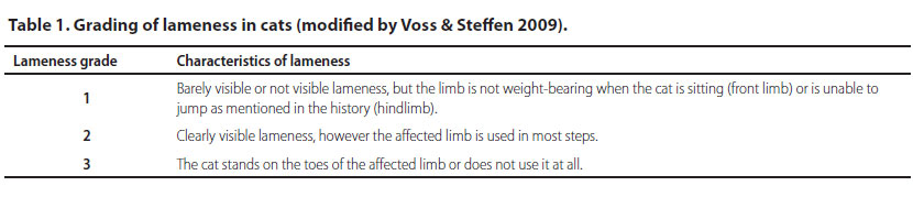 Differences between cats and dogs in orthopaedics