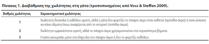 Οι γάτες δεν είναι μικρόσωμοι σκύλοι, ούτε στην ορθοπαιδική