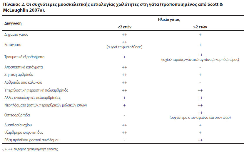 Οι γάτες δεν είναι μικρόσωμοι σκύλοι, ούτε στην ορθοπαιδική