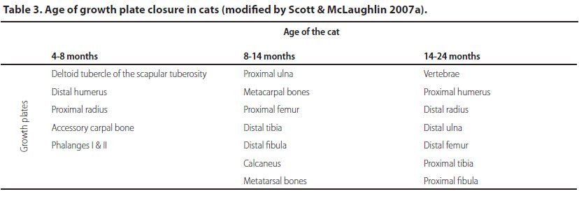 Differences between cats and dogs in orthopaedics