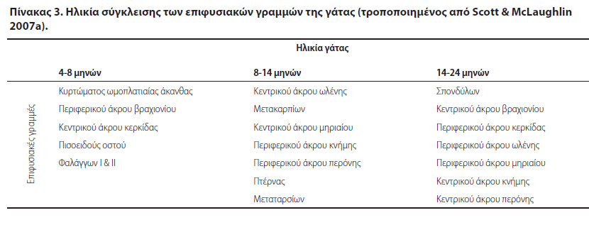 Οι γάτες δεν είναι μικρόσωμοι σκύλοι, ούτε στην ορθοπαιδική